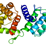 Proteina ACTN3