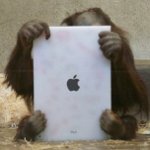 Orangután con iPad