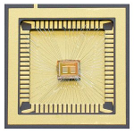 Holey Optochip